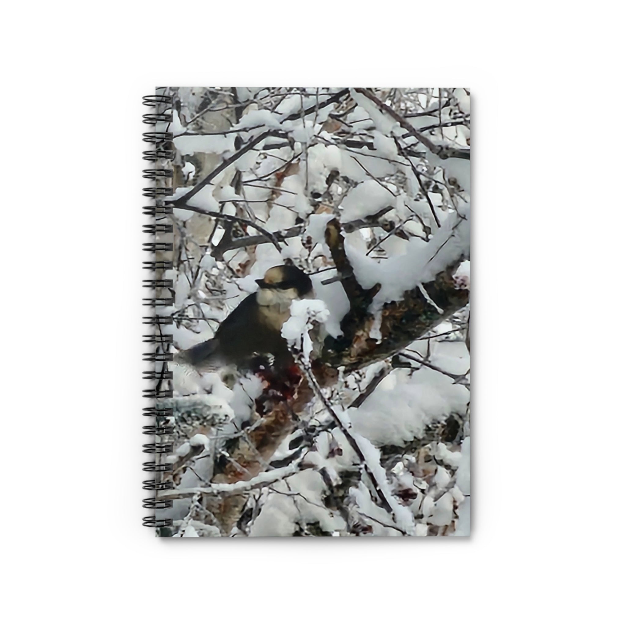 Chickadee in Snow Spiral Notebook | Winter Bird Photography, Ruled Journal
